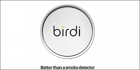 Birdi review